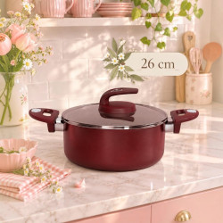 five stars Safecook with Nonstick Stockpot 26cm - Red