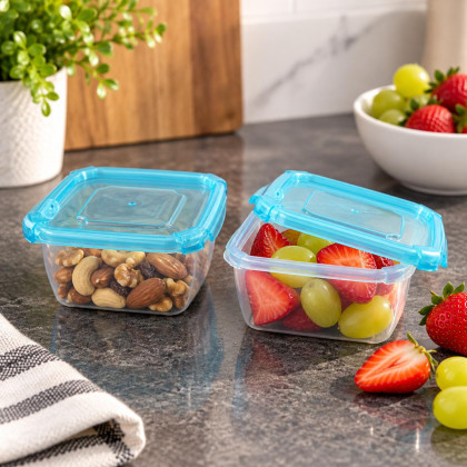 Set of containers 2 pcs,0.7 litre
